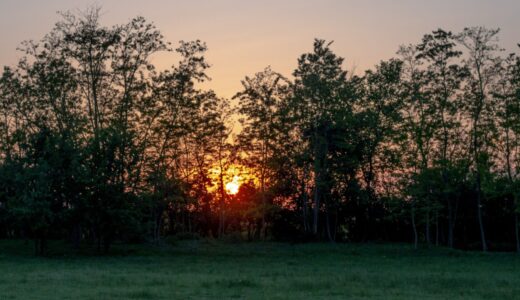 どん底の時に聴いてほしい - 田園